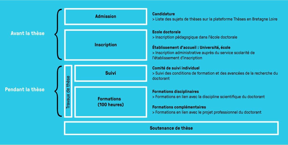 Infographie - le déroulement du doctorat